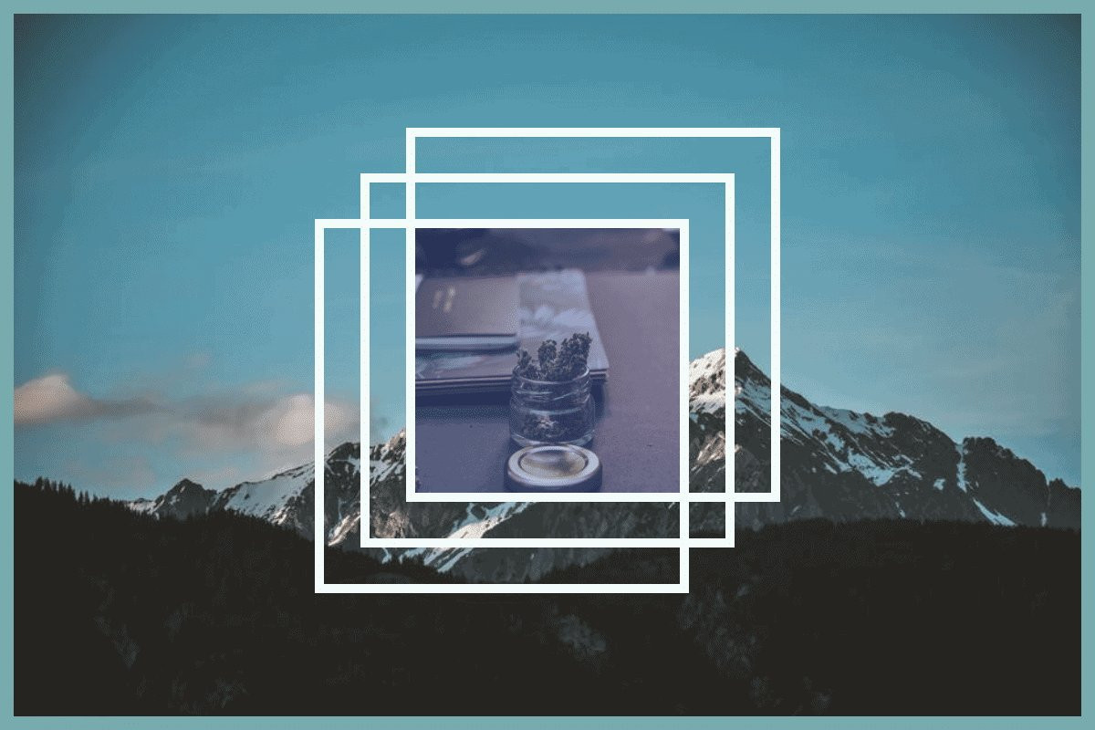 3 Good Reasons Your Cannabis Business Needs A GOOD Website cover