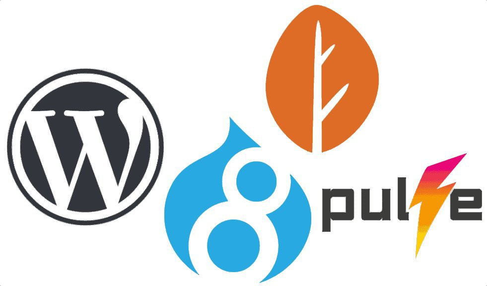 Business Choice: What CMS is right for yours? – Part 1 cover