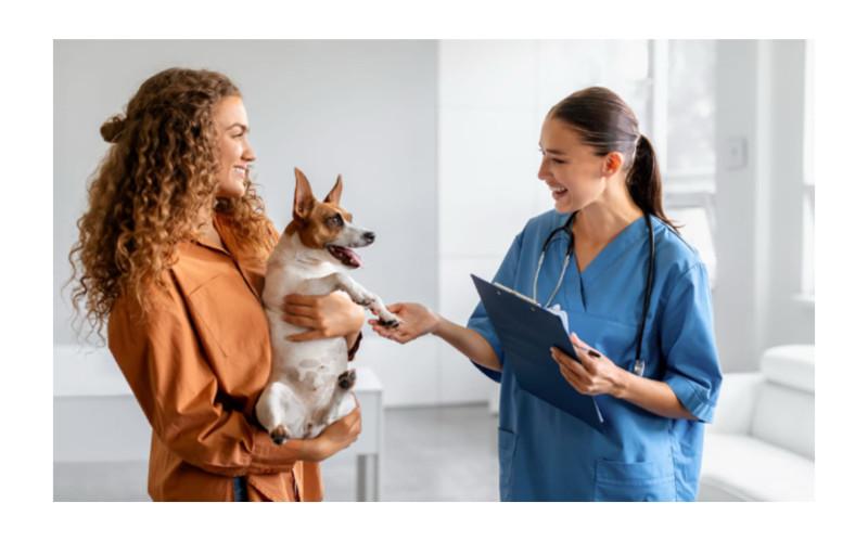 Paws and Effect: Boosting Mobile App Installs for a Pet-Centric SaaS Solution